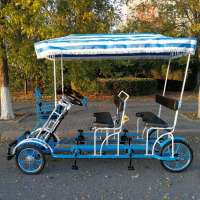 sightseeing four wheels canopy tour Quadricycle Surrey bike tandem bike on sale