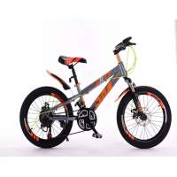 2019 new model high carbon steel mountain bike big kids bicycle/mountain cycle 20 inch